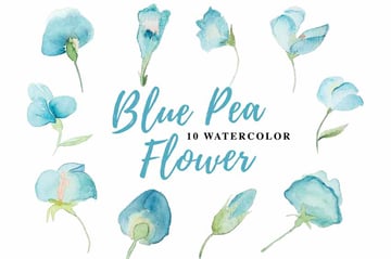 10 Watercolor Blue Pea Flower Illustration