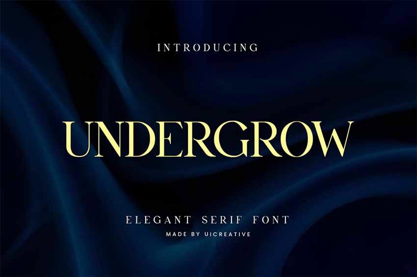 Undergrow Elegant Serif Font