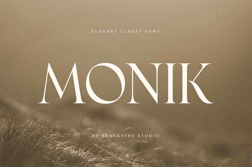 Monik Elegant Classy Font