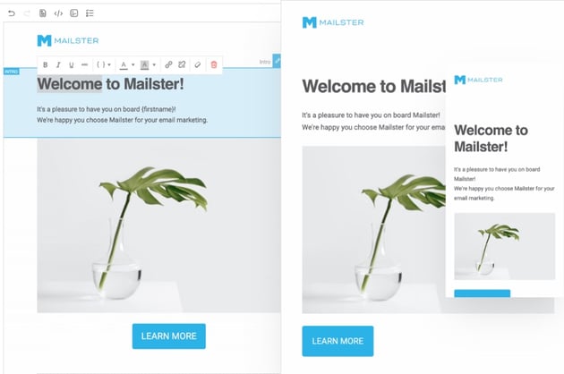 Image of Mailster Template