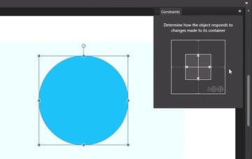 Affinity Designer Constraints