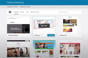 wordpress theme directory