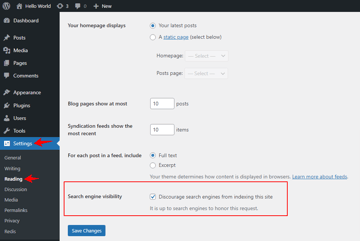Disable Search Engine Visibility in WordPress