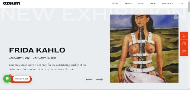 Ozeum | Modern Art Gallery and Creative Online Museum WordPress Theme