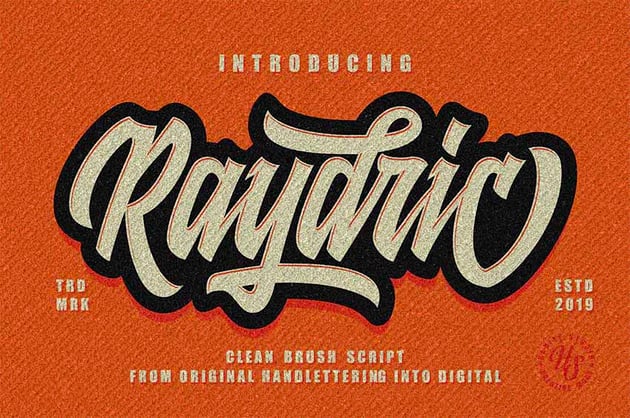 Raydric Multi Layer Fonts