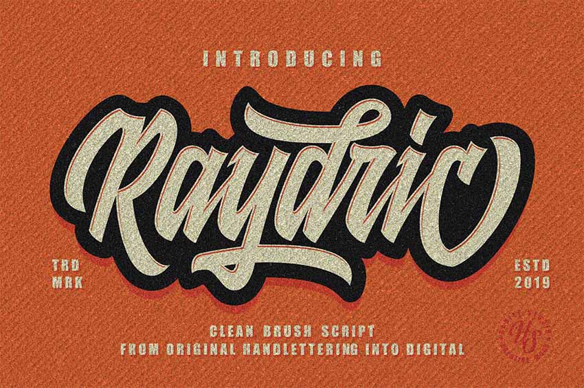 Raydric Multi Layer Fonts