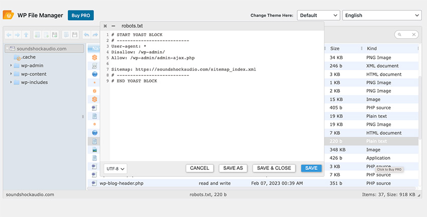 editing <strong>robots.txt</strong> file