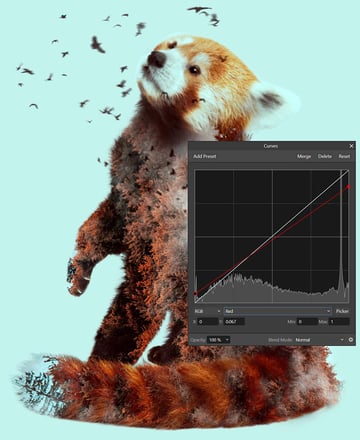 color grade using a curves layer