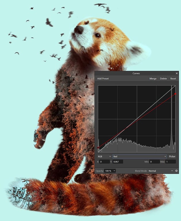 color grade using a curves layer