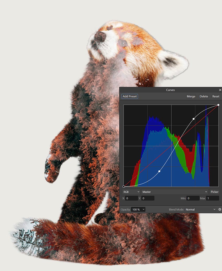 create a curves and HSL layer in the forest