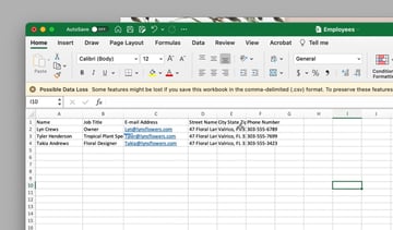 Excel document