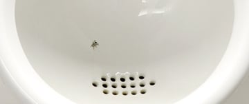 urinal fly