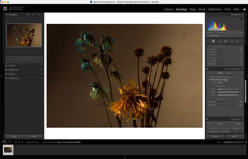 Enable Profile Corrections in Adobe Lightroom