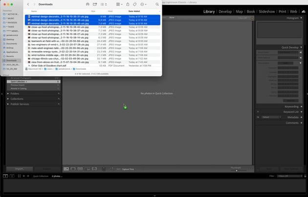 Import Window in Adobe Lightroom