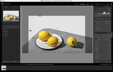 Grid Overlay Options in Adobe Lightroom