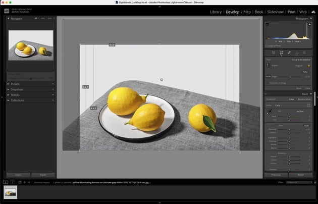 Grid Overlay Options in Adobe Lightroom