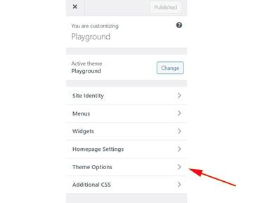 Add a new section in the WordPress Customizer