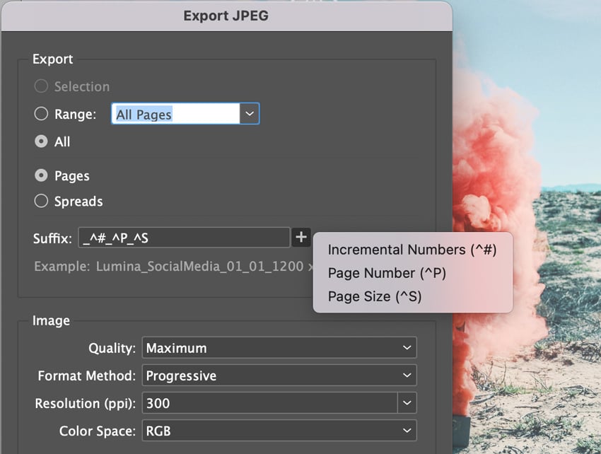 Suffix export field