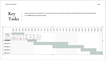 Project management slides