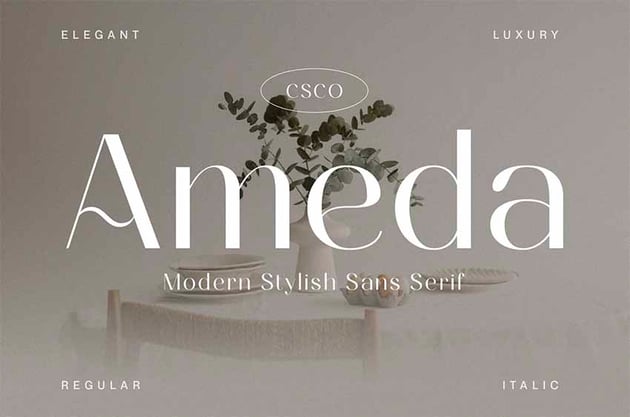Ameda Modern Stylish Sans Serif Font