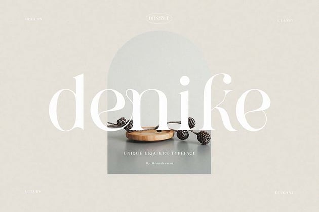 Denike Stylish Modern Serif