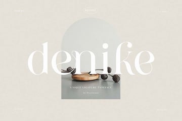 Denike Stylish Modern Serif