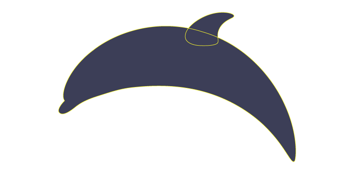 how to place dolphin's dorsal