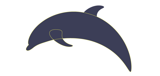 how to place dolphin's fin
