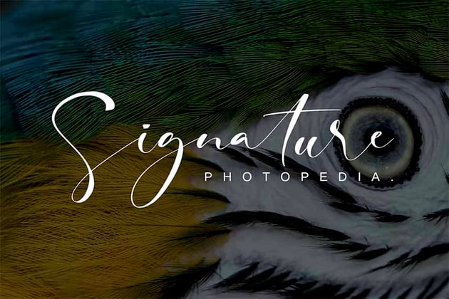 Photopedia Authentic Signature Font