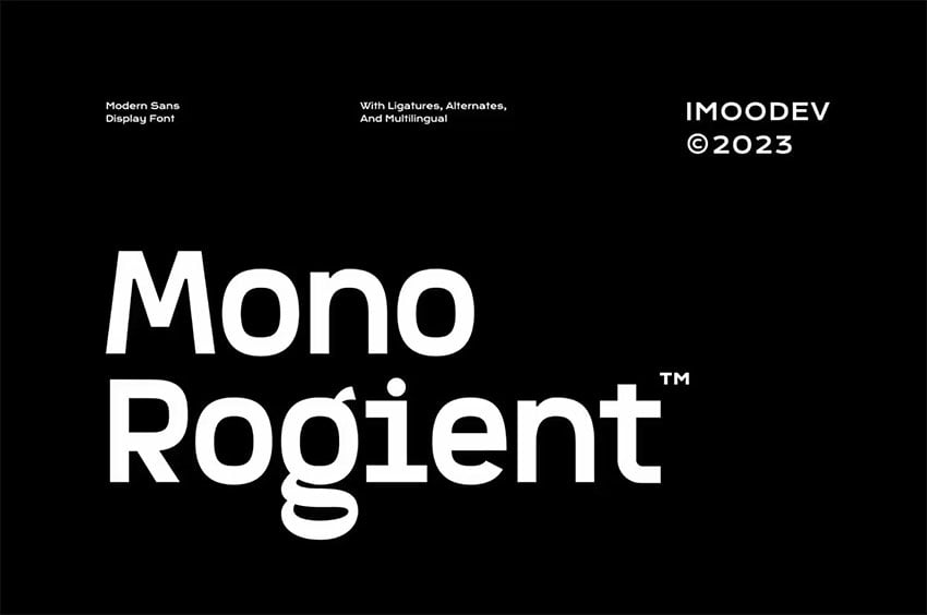 Mono Rogient - Modern Sans Display Font