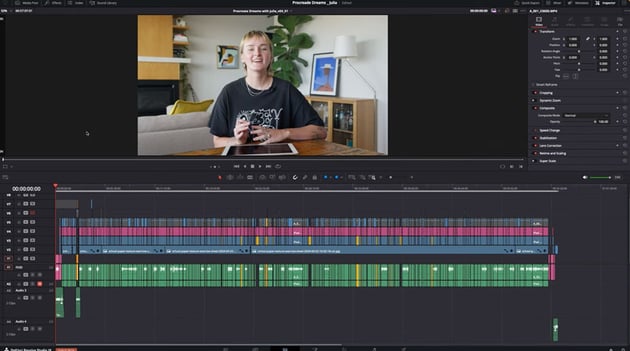 the project in davinci resolve