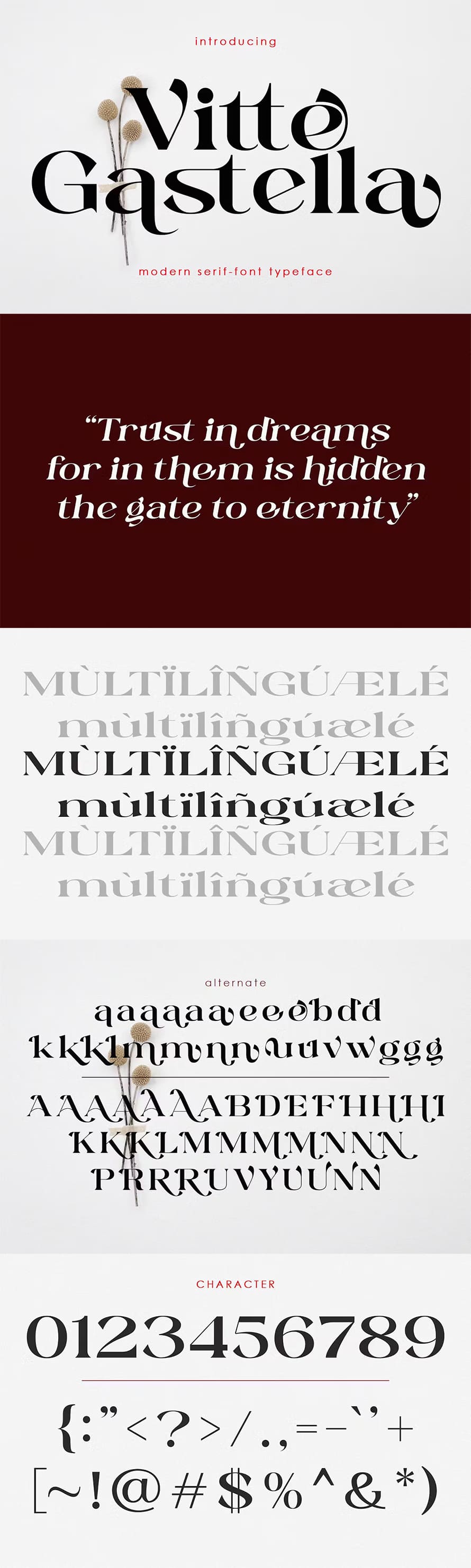 Vitte-gastella Ligature Serif Font