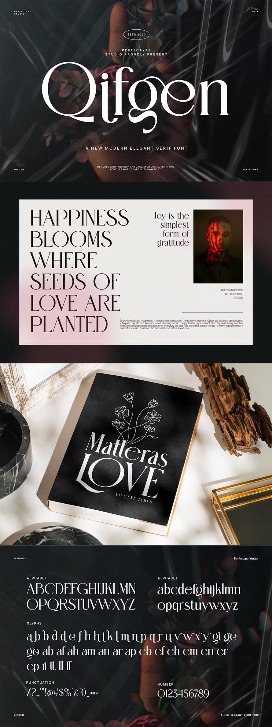 Qifgen Modern Elegant Serif Font Typeface