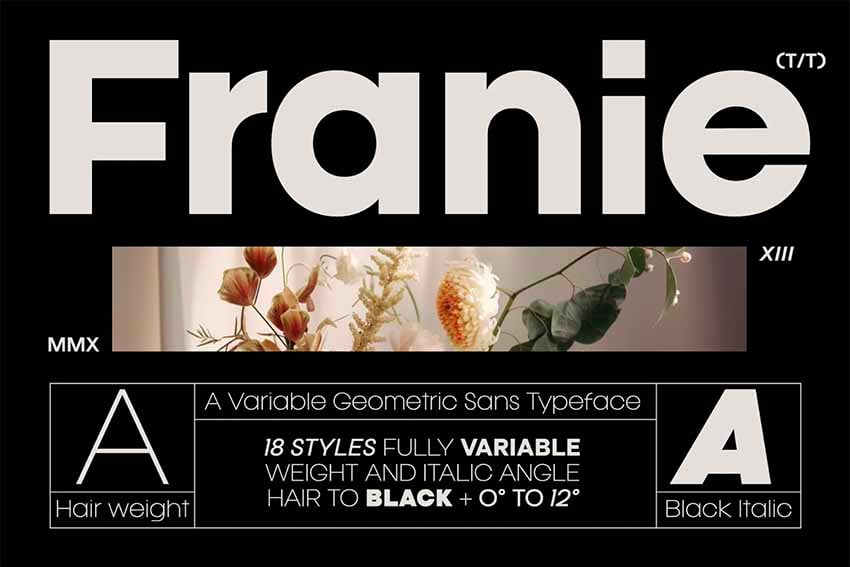 Franie Geometric Sans Font