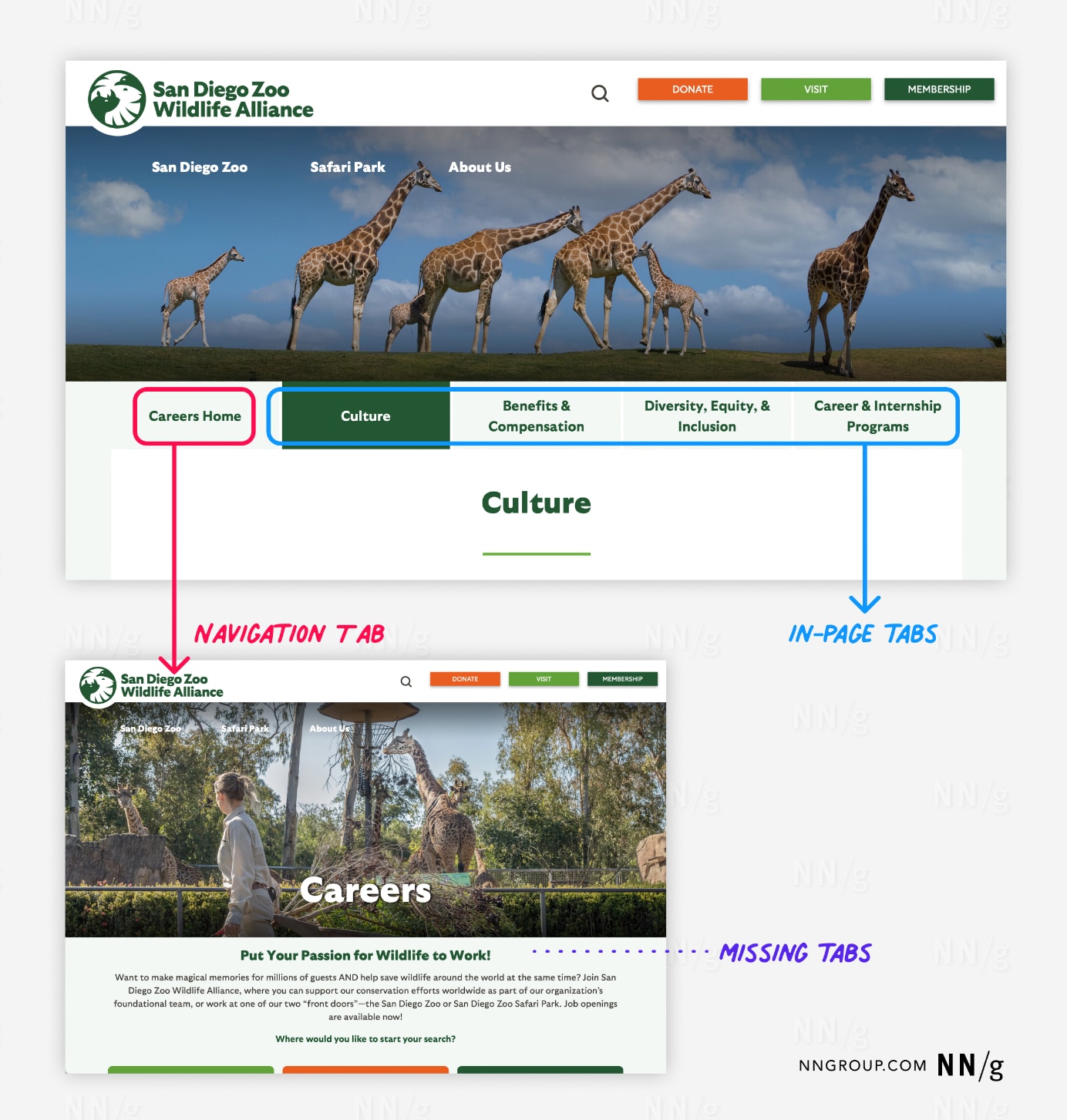 Navigation and in-page tabs on the San Diego Zoo Wildlife Alliance website, specifically on the Careers page. The top part of the image shows a webpage with a main navigation tab highlighted in red, labeled “Careers Home,” along with in-page tabs like “Culture,” “Benefits & Compensation,” “Diversity, Equity, & Inclusion,” and “Career & Internship Programs,” highlighted in blue. The selected in-page tab is “Culture,” which displays related content below it. The bottom part of the image shows the same webpage without the in-page tabs, marked by a purple annotation labeled “Missing Tabs,” indicating the absence of these in-page navigation options. This highlights the importance of consistent tab visibility for user navigation.