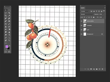 Place the Envato Elements asset Citrus Unshiu into the collage file.