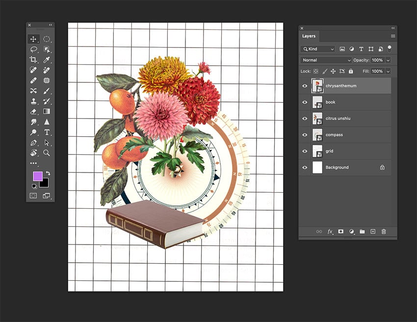 Place the Chrysanthemum image into the collage artwork file. 