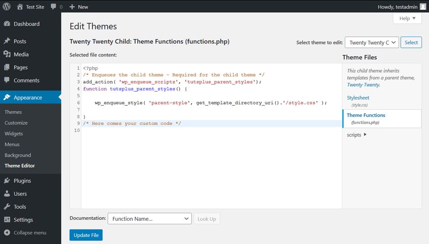 Adding JS to WordPress: Admin Theme Editor.