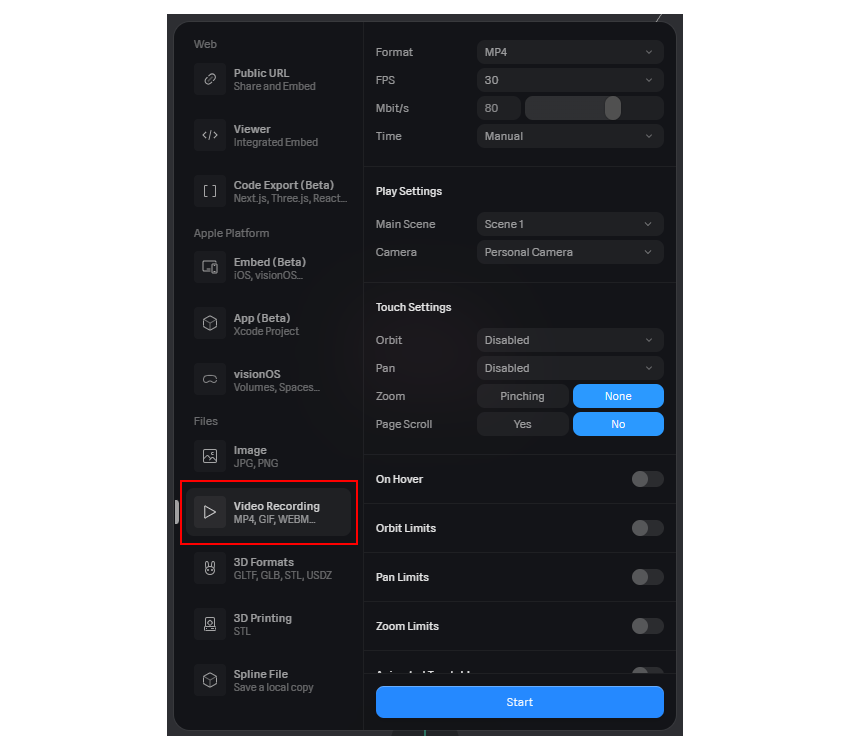 Options of Spline's Video Recording export type