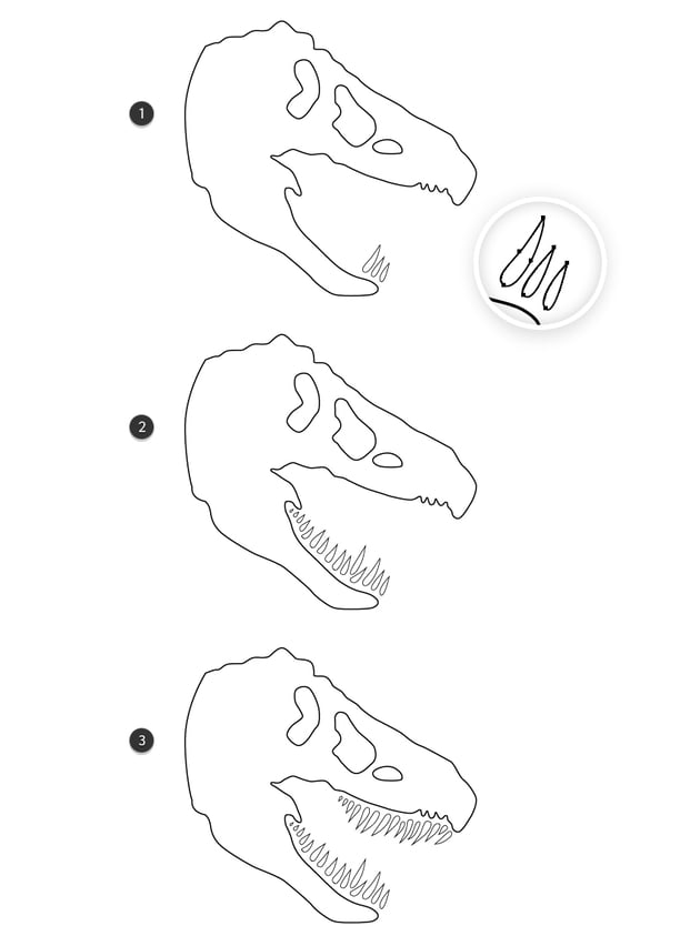 How to draw the dinosaur teeth