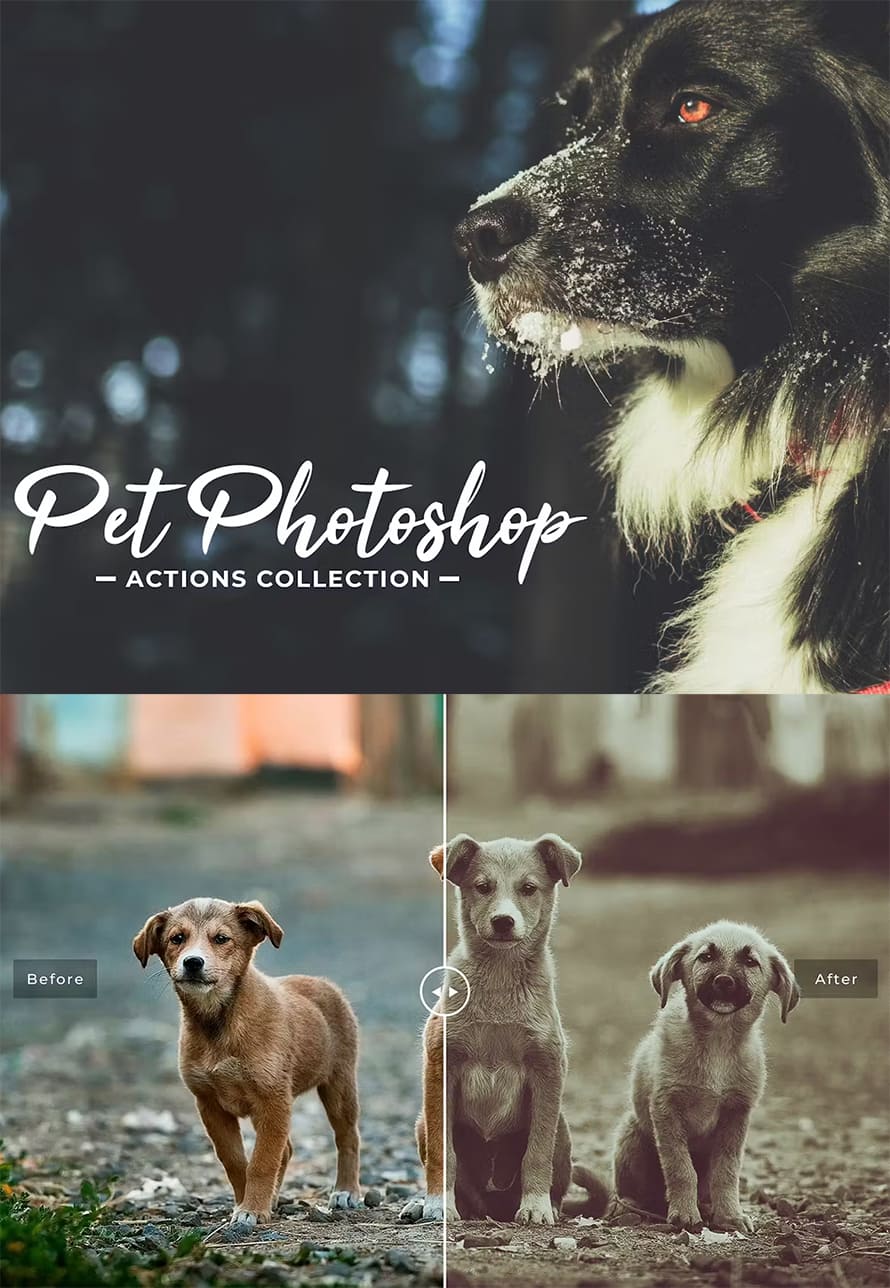 Pet Photoshop Actions Collection