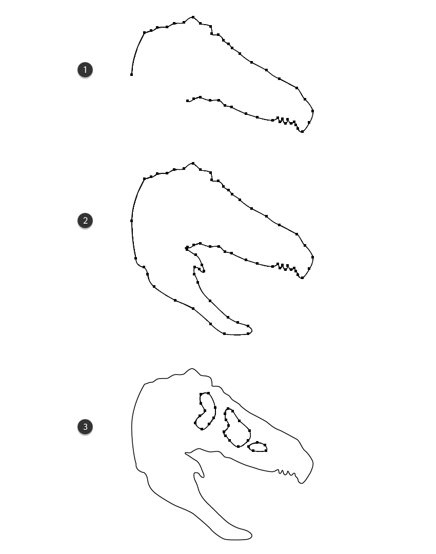 How to draw the dinosaur skull