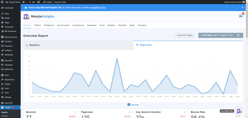 Free MonsterInsights users have access to the Overview tab and basic data about website traffic