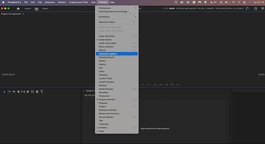 Open the essential graphics panel