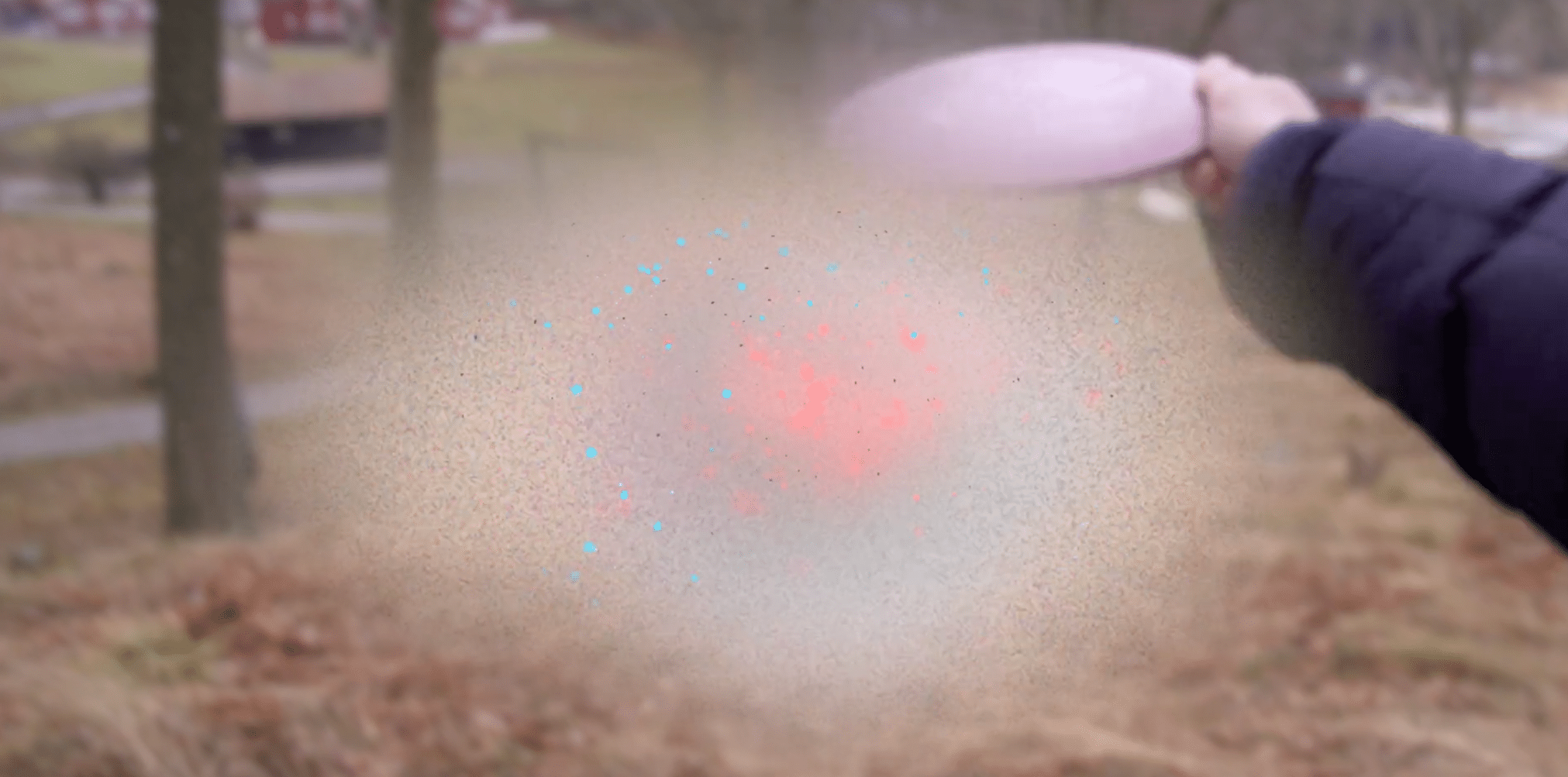 Blurry peripherals around a white cloud with red and blue dots scattered in it.