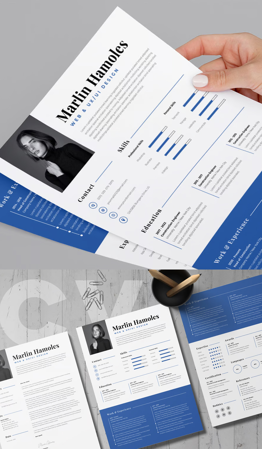 Creative Professional CV