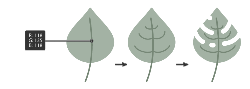 how to create the monstera leaf