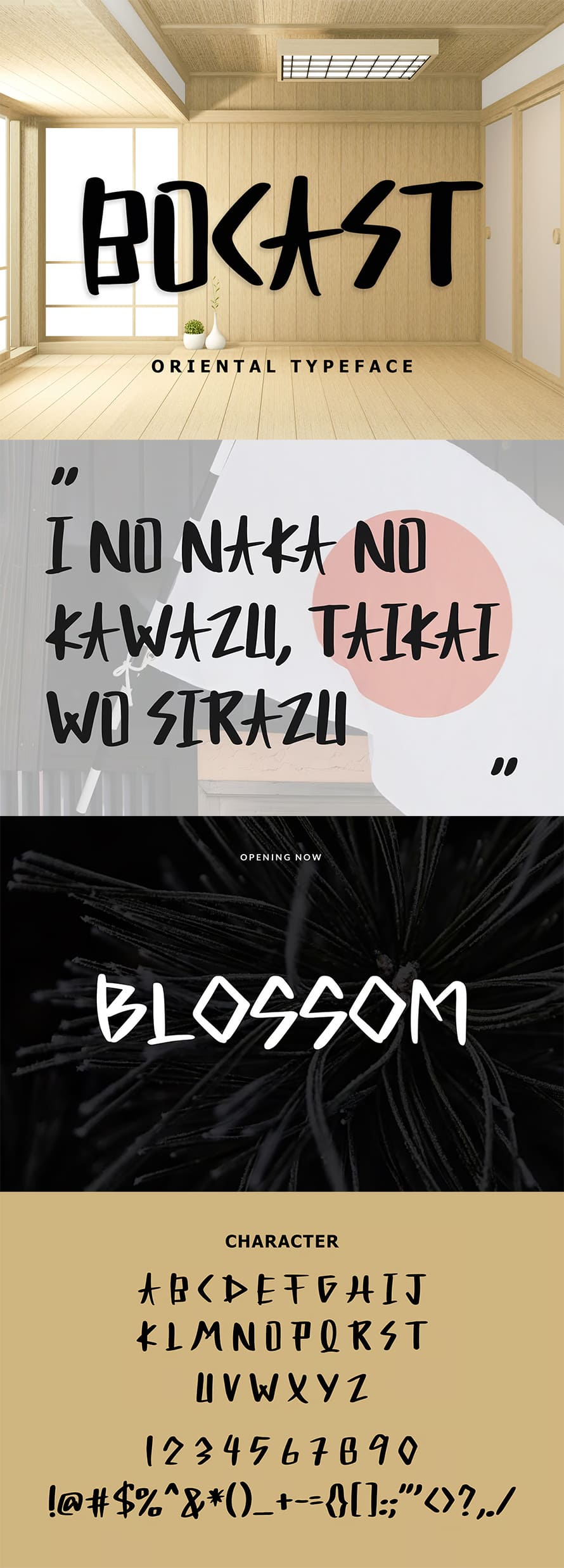 Bocast Japan Style Display Font