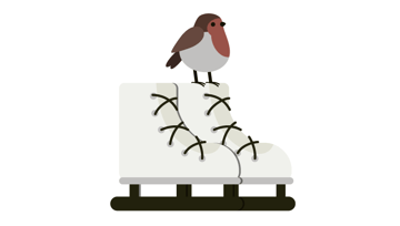 how to place the robin on the ice skates 