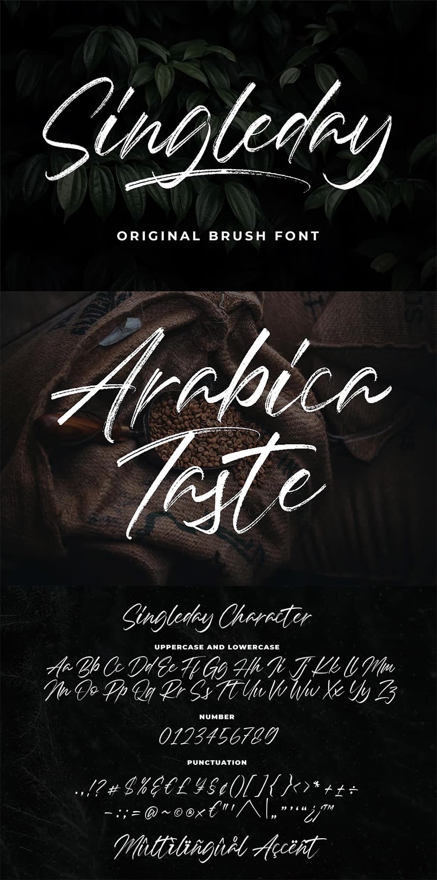 Singleday Brush Font